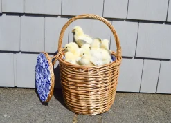 Chefanie Honey Wicker Basket