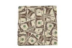 Chefanie Money Napkins (4) Discount