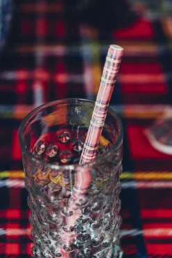 Chefanie Tartan Ceramic Straws (4) Best